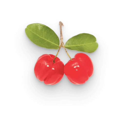 Extrato de acerola