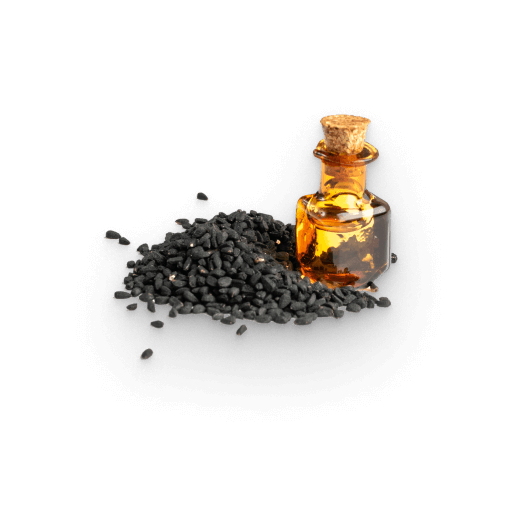 Extrato de cominho negro
